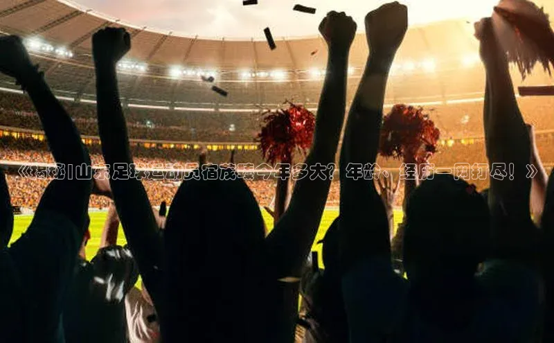 熊猫体育平台官网小度商城《揭秘|山东足球运动员宿茂臻今年多大？年龄、经历一网打尽！》