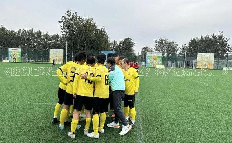 熊猫体育足球直播app度小满理财《脏辫足球运动员将何时抵达中国？揭秘最新情况！》