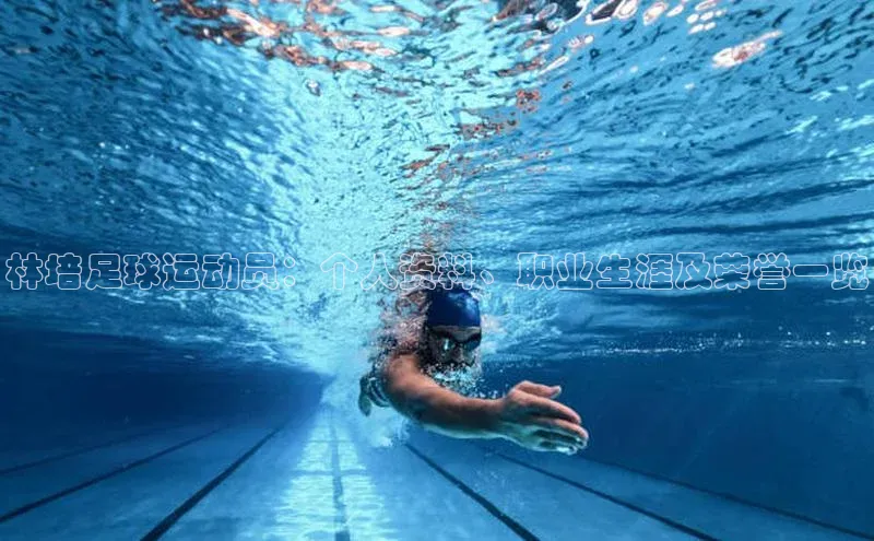 熊猫体育在线直播免费每日互动林培足球运动员：个人资料、职业生涯及荣誉一览