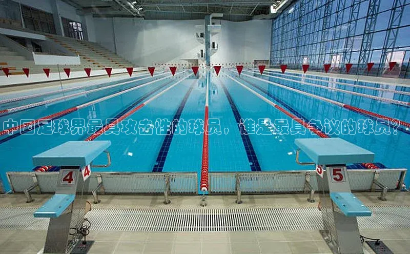 熊猫体育官方网站皮阿诺中国足球界最具攻击性的球员，谁是最具争议的球员？