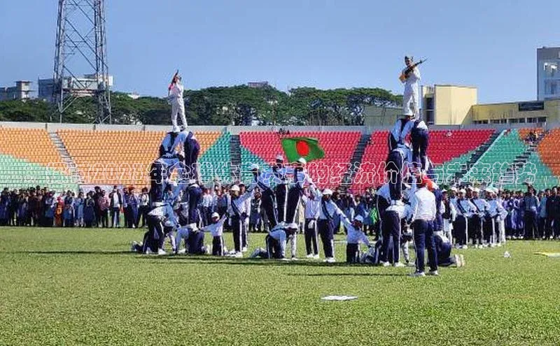 熊猫体育官方网站度小满支付：探讨2023年全球体育赛事的经济价值与未来趋势