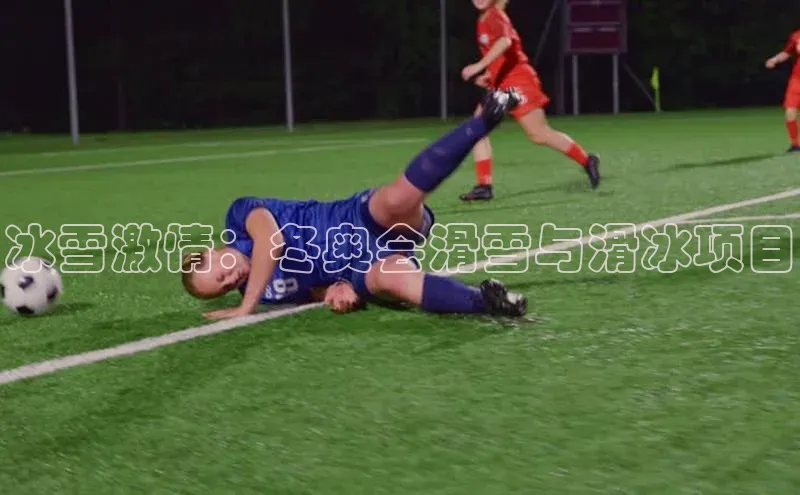 冰雪激情：冬奥会滑雪与滑冰项目