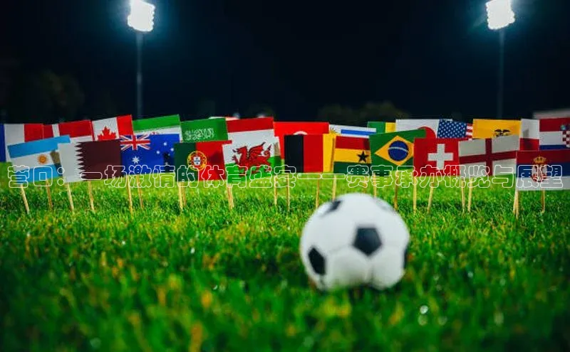 营口：一场激情的体育盛宴——赛事承办概览与展望