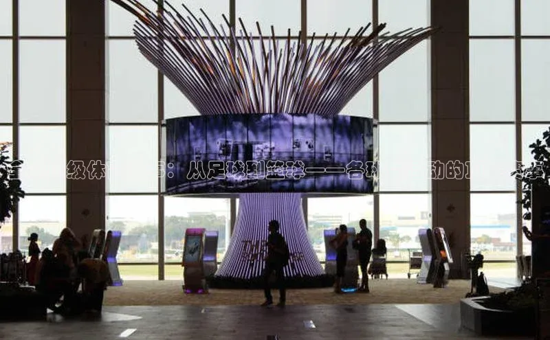 全球顶级体育盛事：从足球到篮球——各球类运动的顶尖赛事