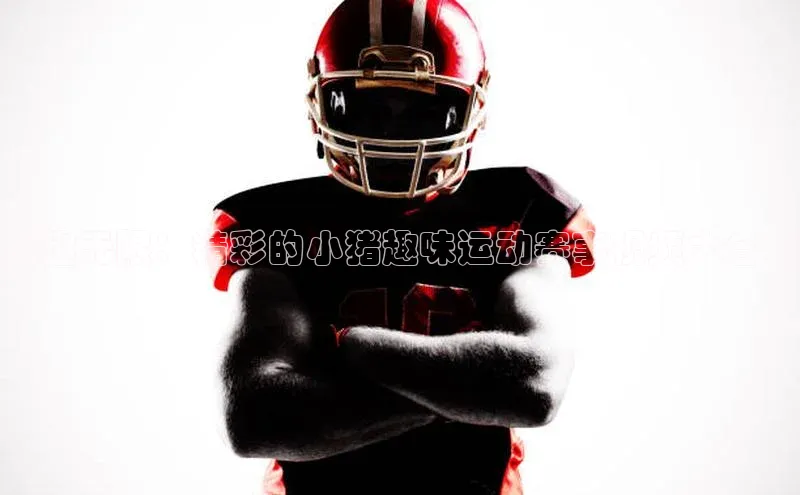 乐趣无限：精彩的小猪趣味运动赛事视频大合集