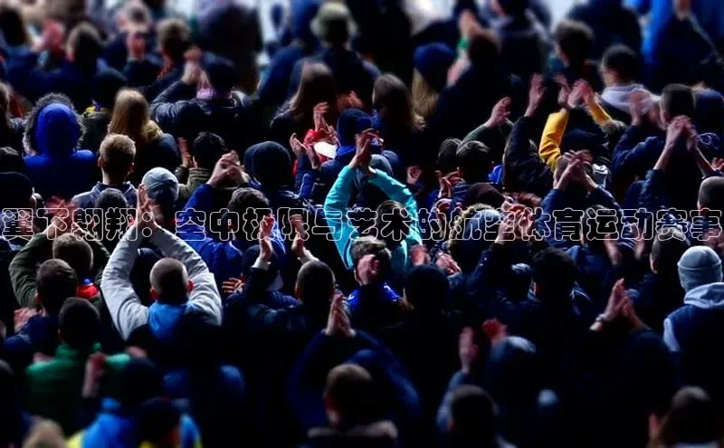 翼下翱翔：空中极限与艺术的航空体育运动赛事