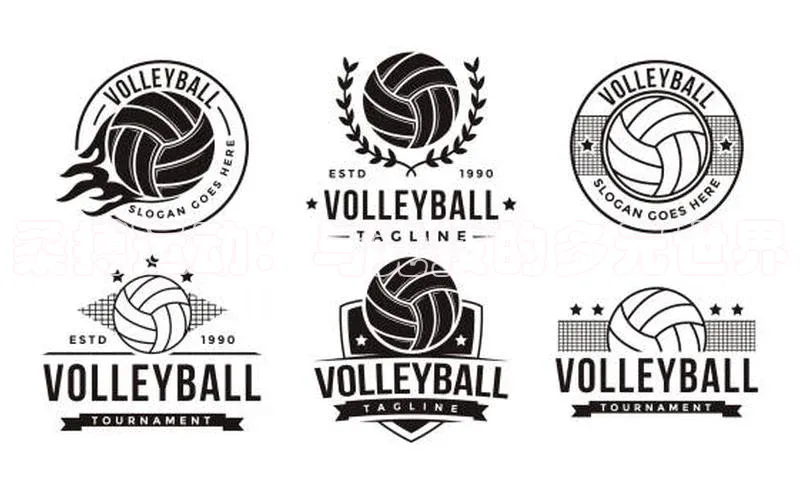 桑搏运动：与竞技的多元世界