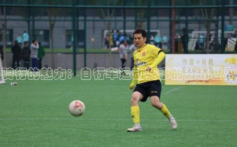 骑行的魅力：自行车运动赛事的激情世界