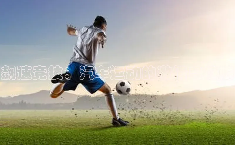 飙速竞技：汽车运动的激情与极限