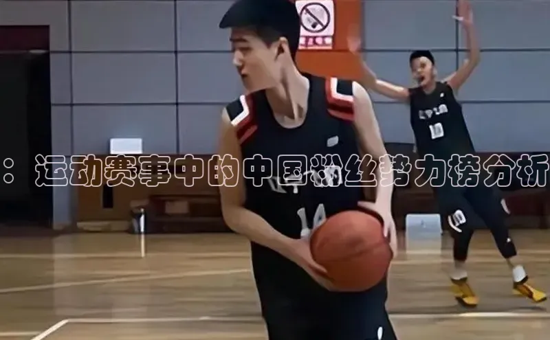 ：运动赛事中的中国粉丝势力榜分析