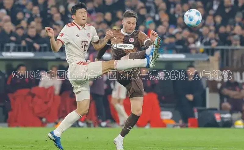 2018年中国运动会：国内体育赛事的活力与挑战