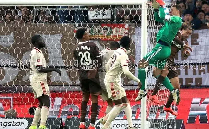 翼动激情：一场小型运动飞机竞赛的精彩瞬间