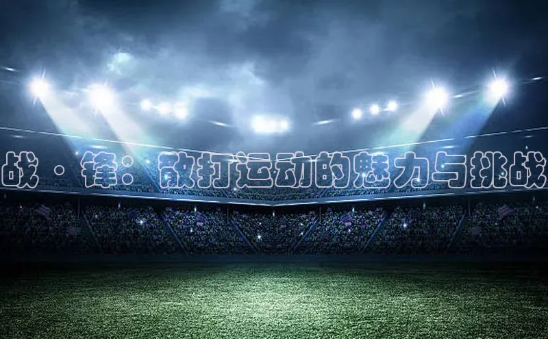 战·锋：散打运动的魅力与挑战