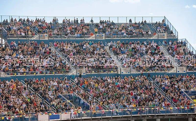 亲子运动会：打造家庭凝聚力的活动策划