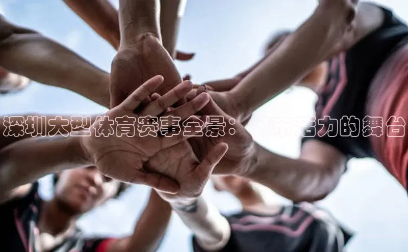 深圳大型体育赛事全景：城市活力的舞台
