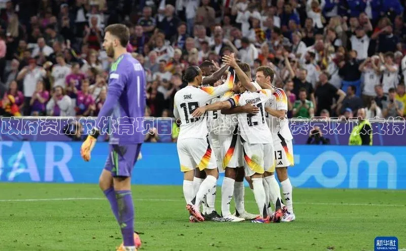 政府资助的体育项目：哪些运动比赛受财政支持