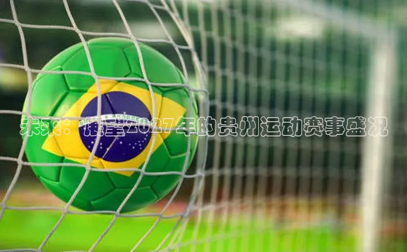 未来：展望2027年的贵州运动赛事盛况
